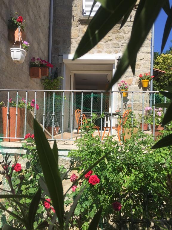 Maison De Vacances - Casa Mezanaccia Avec Terrasse Fleurie Meuble Tourisme 3 Etoiles Santa-Lucia-di-Tallano Zewnętrze zdjęcie